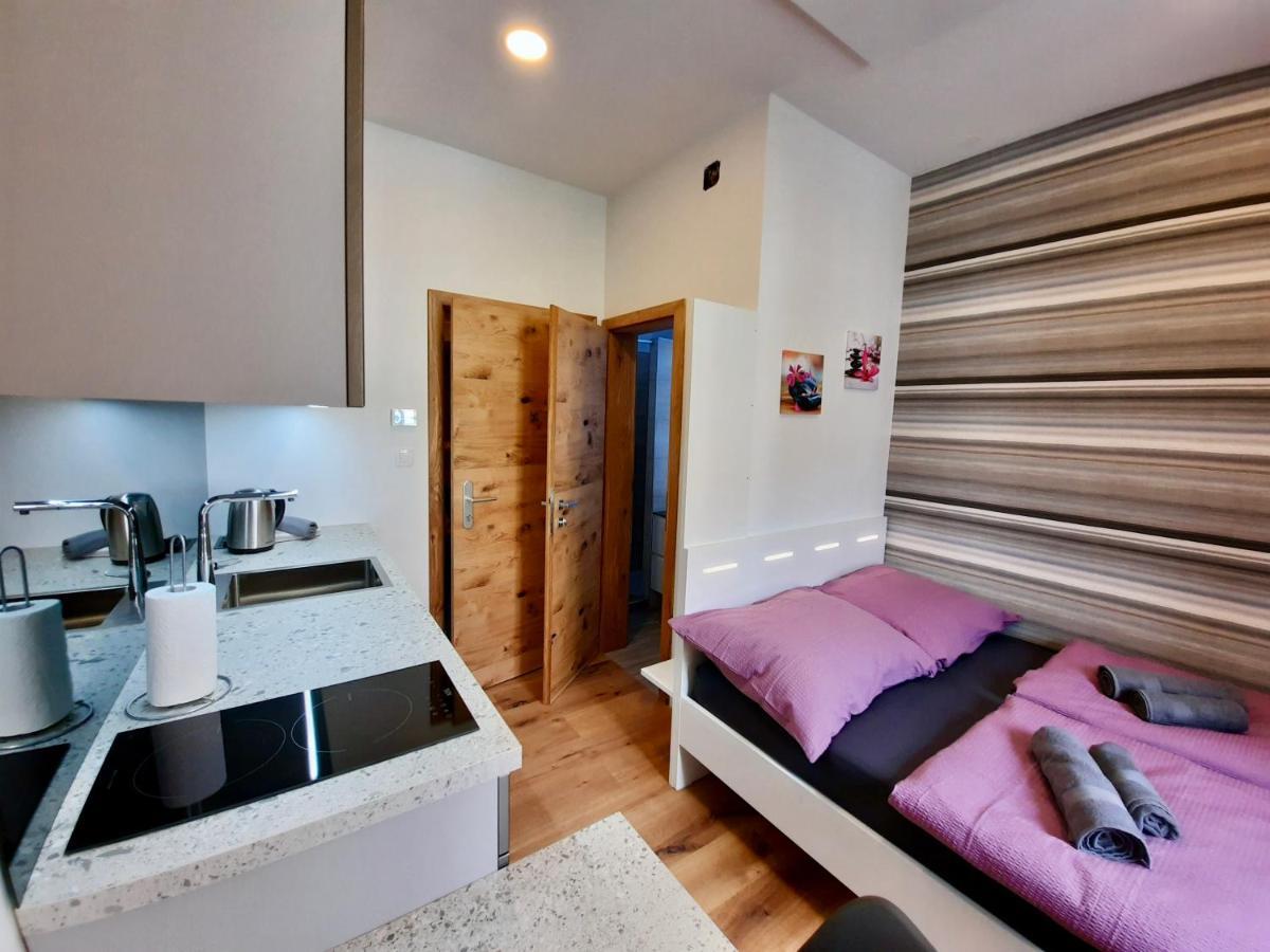 Apartment Silver Ljubljana Ngoại thất bức ảnh
